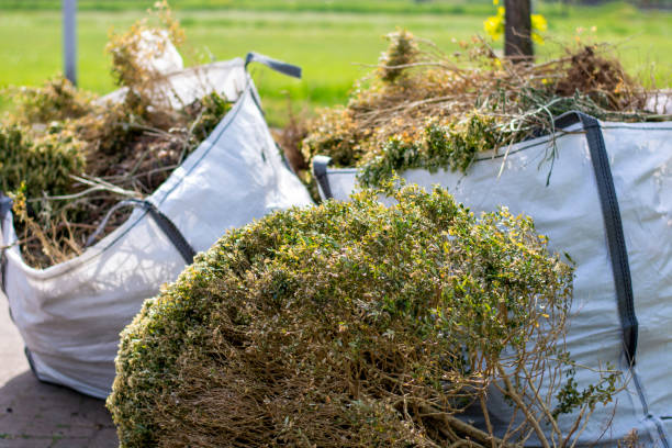 Best Affordable Junk Removal Services  in Richton Park, IL